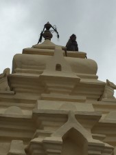 A monkey sits atop a building near Nandi Hills in southern India